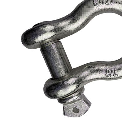 Roestvrije Opgepoetste Gesmede Hardware, Praktische Op zwaar werk berekende Sluiting
