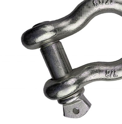 ISO9001 het duurzame van de de Sluitingsschroef van D Staal van Pin Type Heavy Duty Stainless