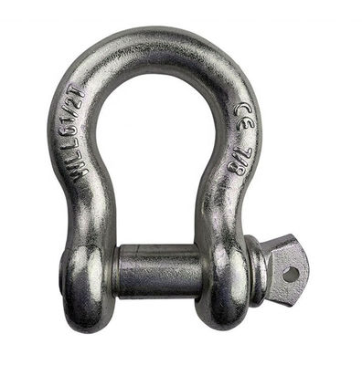 ISO9001 het duurzame van de de Sluitingsschroef van D Staal van Pin Type Heavy Duty Stainless