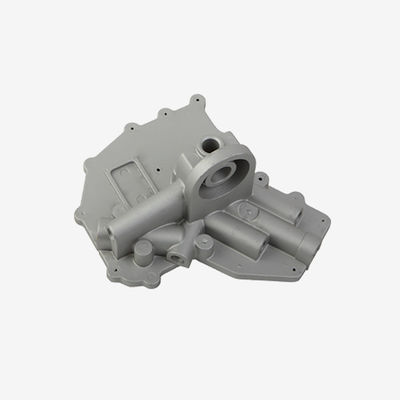 OEM de Roestvrije Componenten van het Matrijzenafgietsel, Anticorrosieve Aluminium Gietende Delen