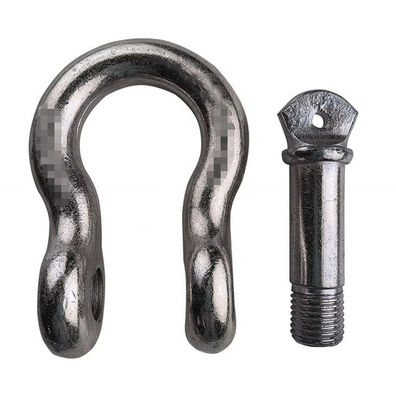 ISO9001 het duurzame van de de Sluitingsschroef van D Staal van Pin Type Heavy Duty Stainless
